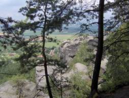 Resize of Talpa 089.jpg